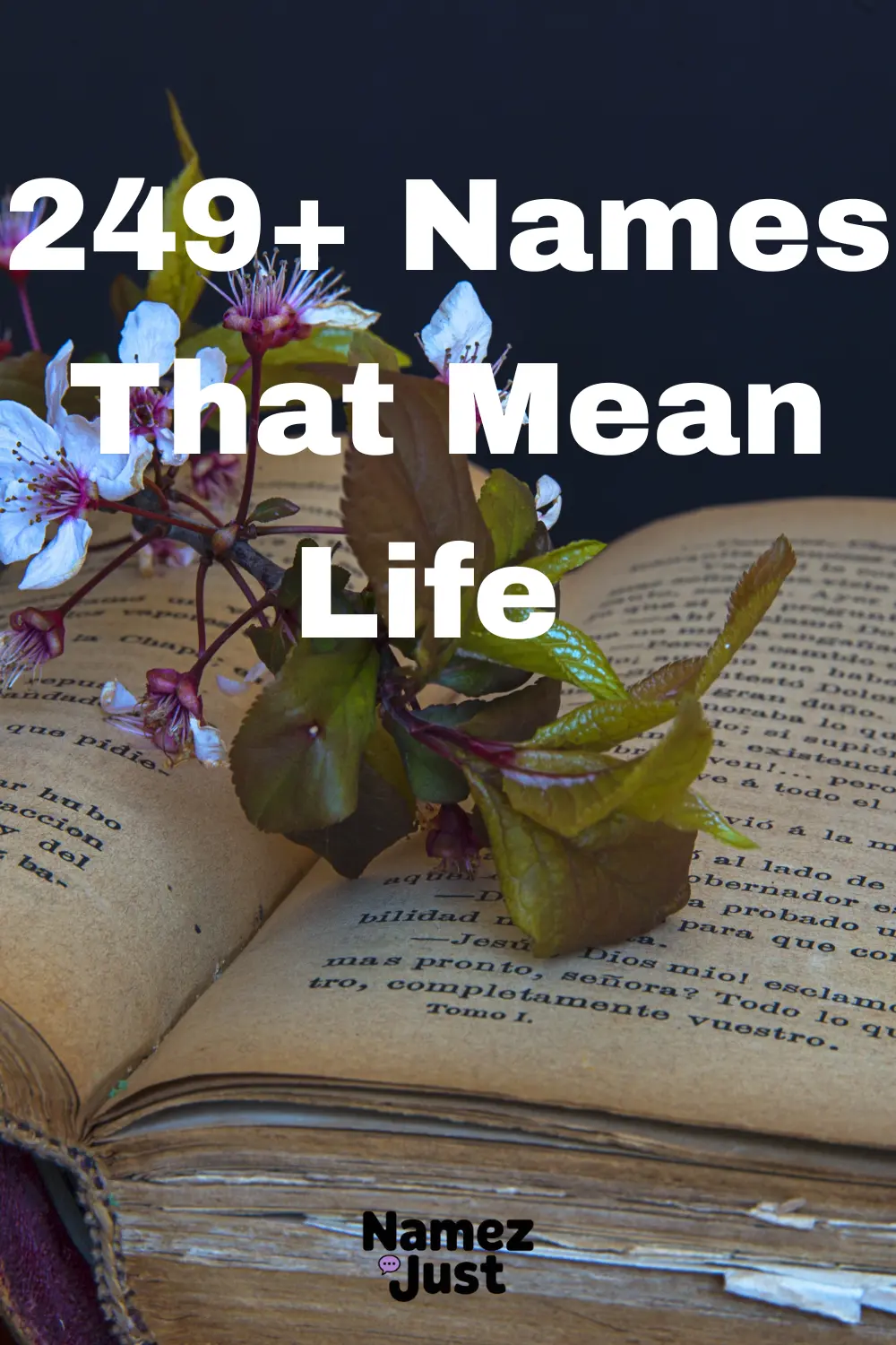 names-that-mean-life