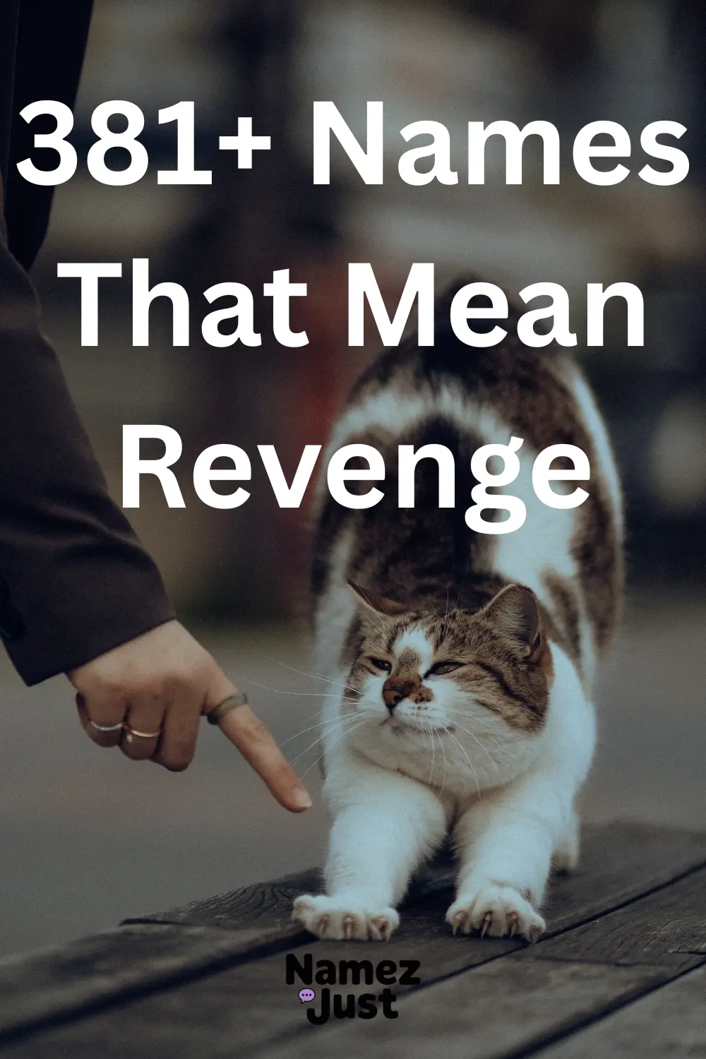 names-that-mean-revenge