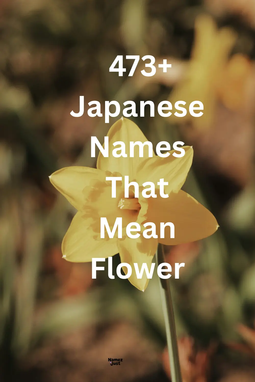 japanese-names-that-mean-flower