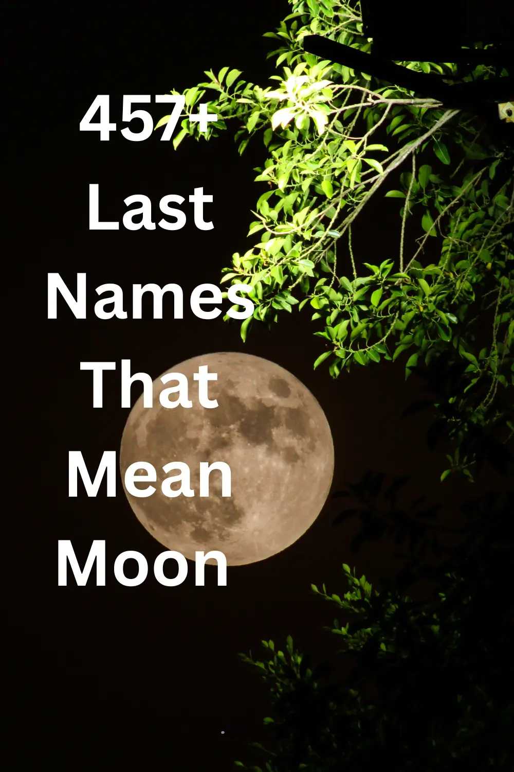 last-names-that-mean-moon