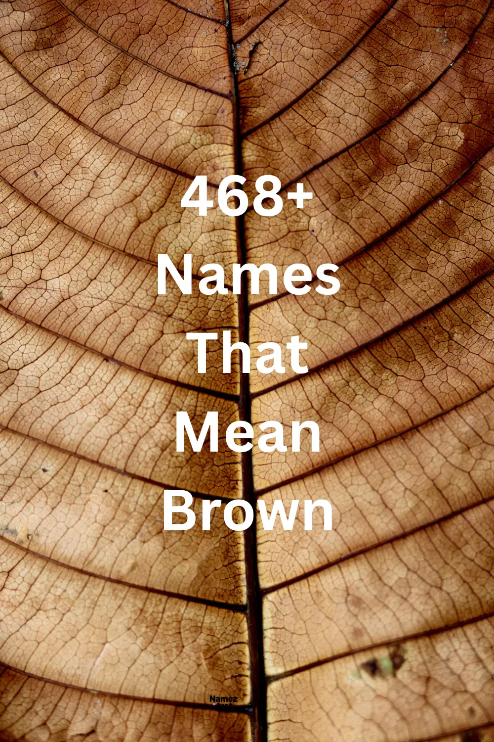 names-that-mean-brown