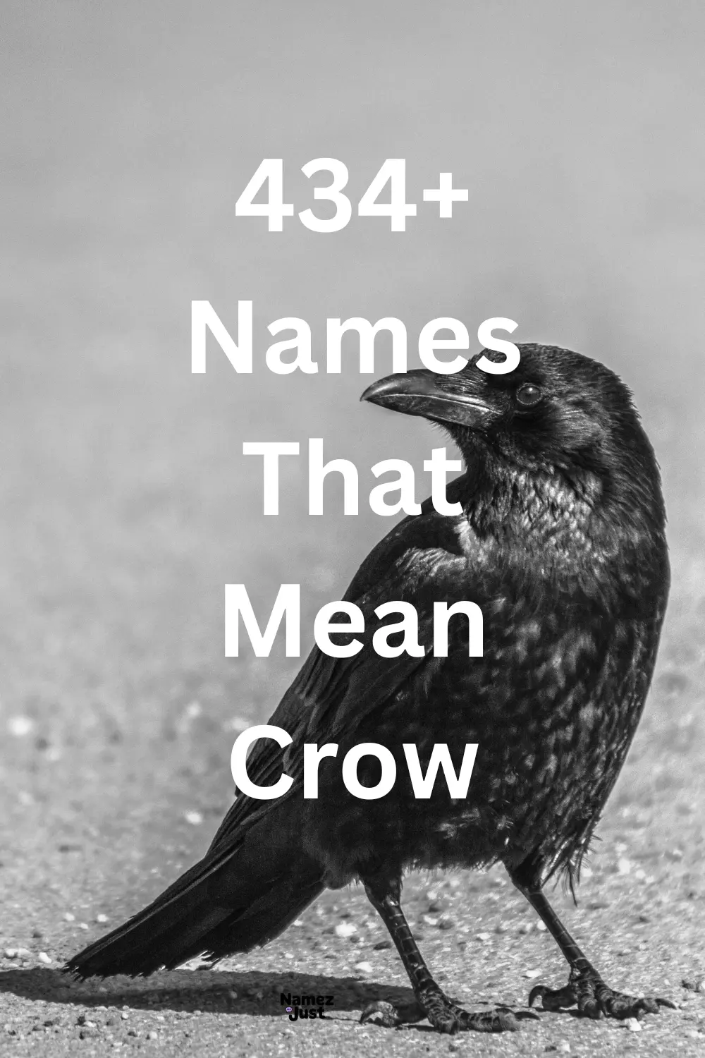 names-that-mean-crow
