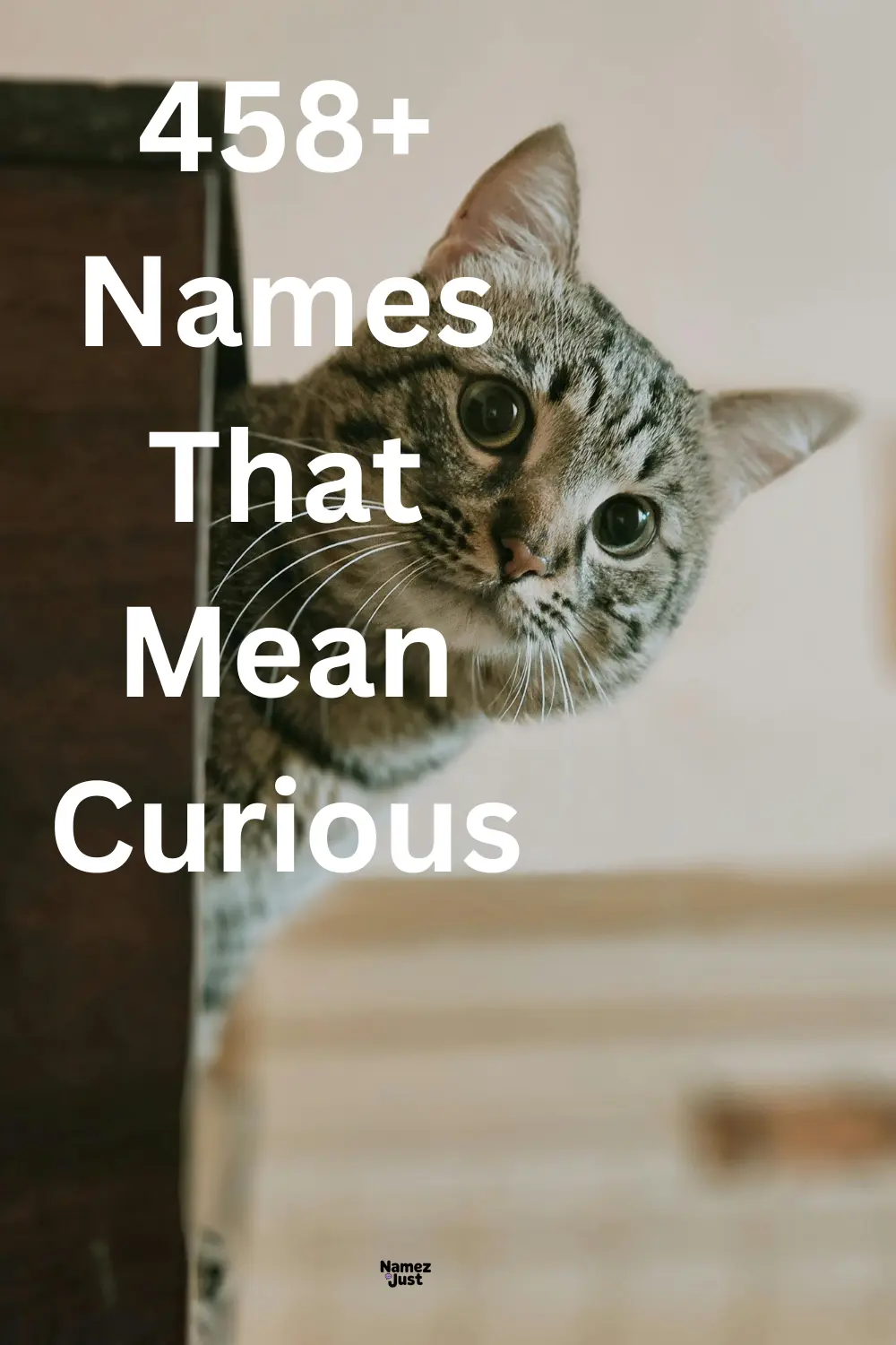 names-that-mean-curious