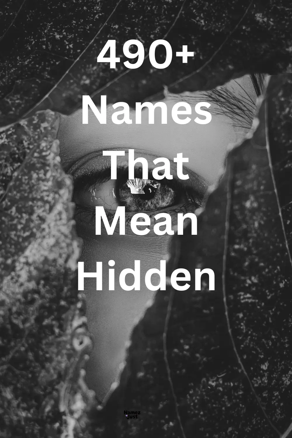 names-that-mean-hidden