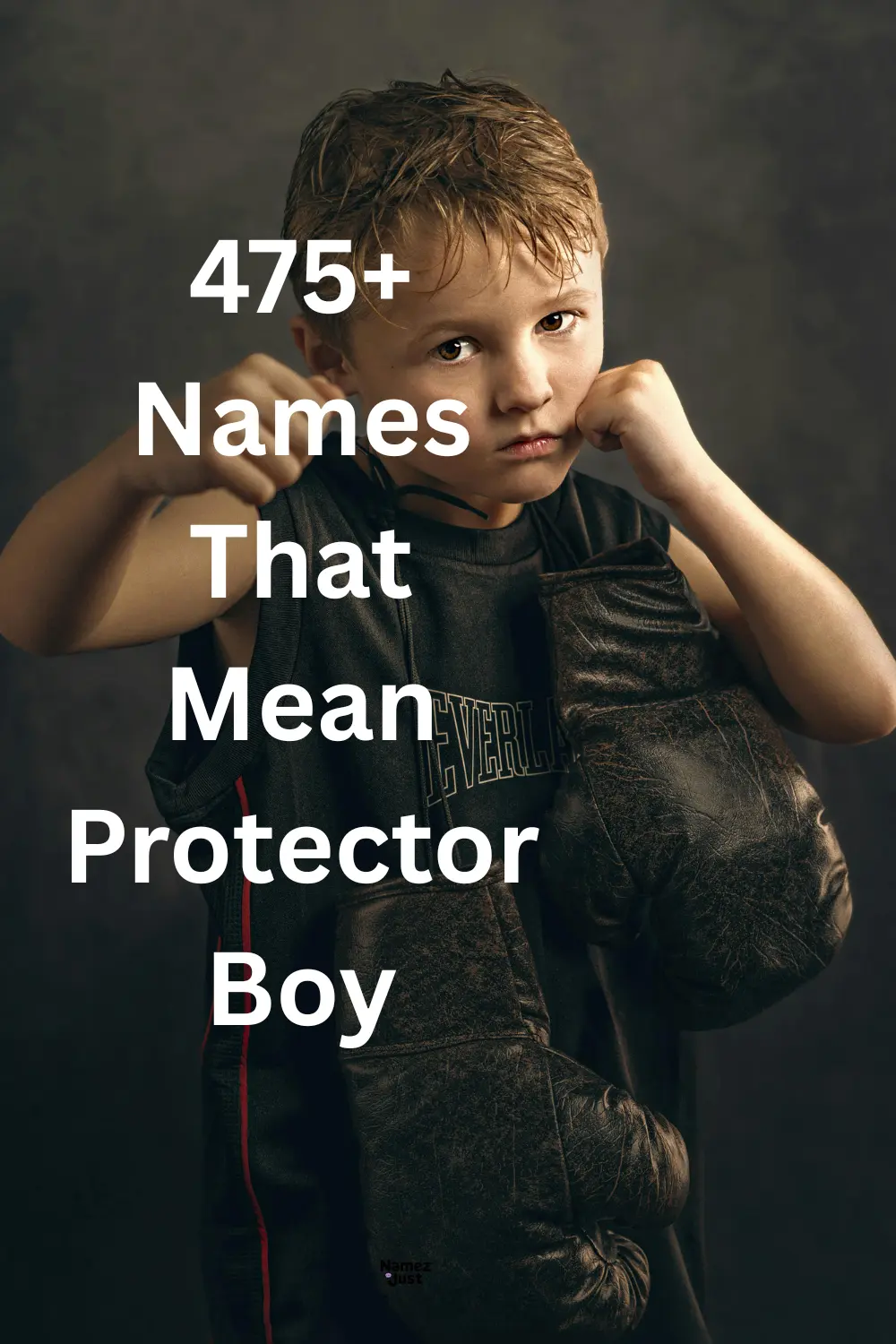 names-that-mean-protector-boy