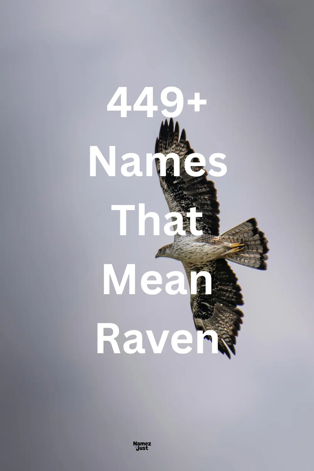 names-that-mean-raven