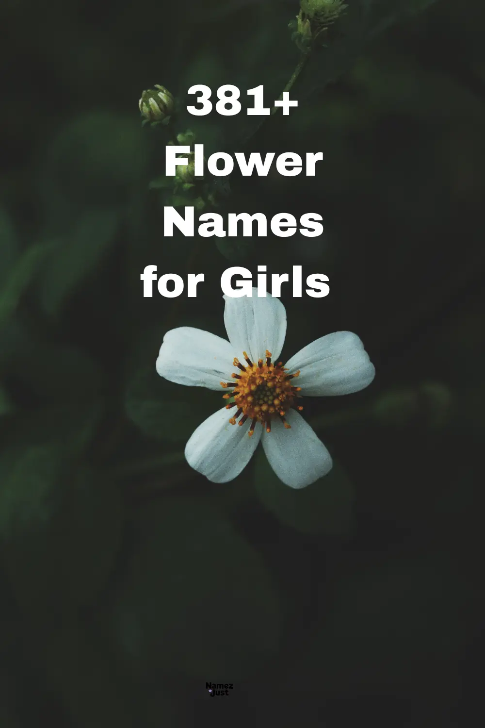flower-names-for-girls